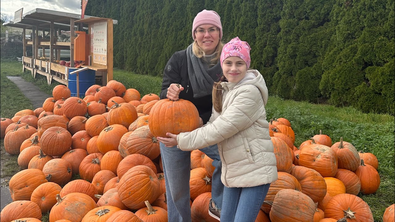 Воскресный уют Livestream: звуки дождя, тыквы и цветы | Nature and calm fall vibes