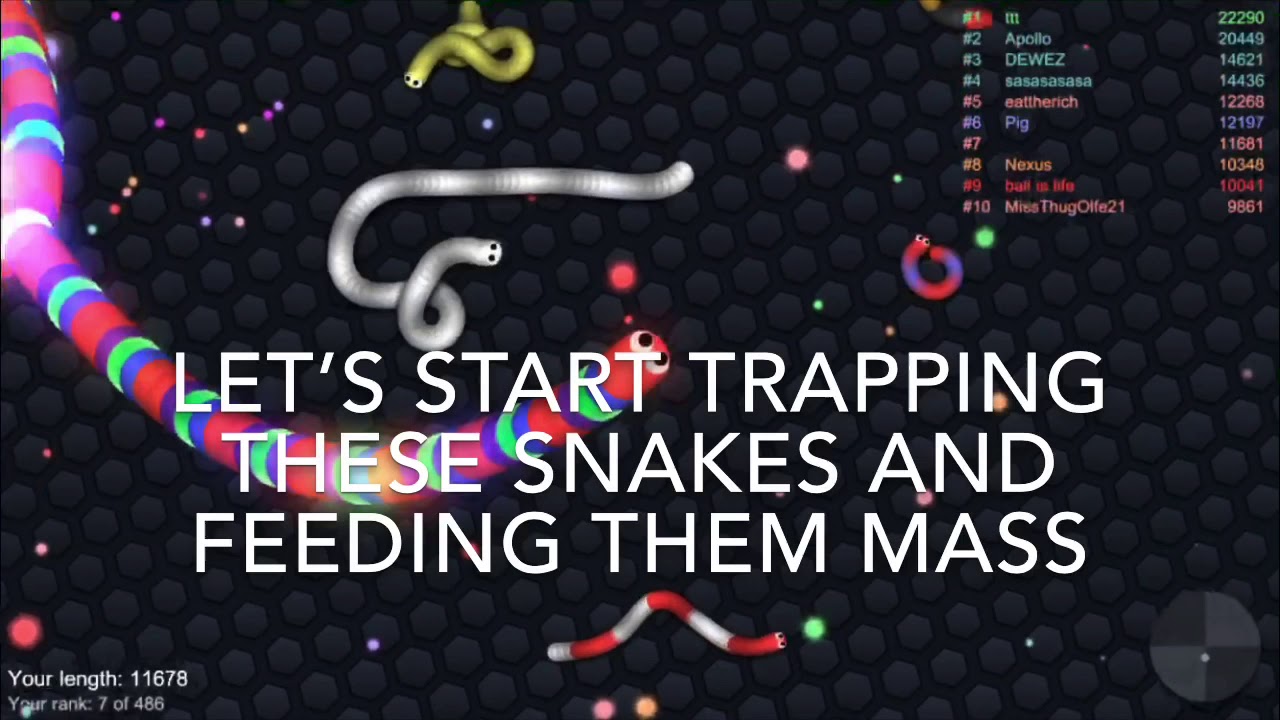 BECOMING THE BIGGEST SNAKE WITH CRAZY 9000+ MASS (SLITHER.IO