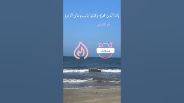 #القرآن_الكريم #بسم_الله_الرحمن_الرحيم #اكسبلور #المصحف #راحة_نفسية #سورة_البقرة #حالات_واتس #الرحم