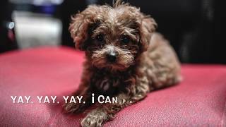 WATCH ME GROW - POTTY TRAINING screenshot 4