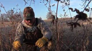 How to Make a Cable Restraint to Catch Coyotes and Bobcats