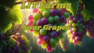 Sour Grapes from Lit Farms