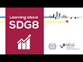 Learning about sdg 8