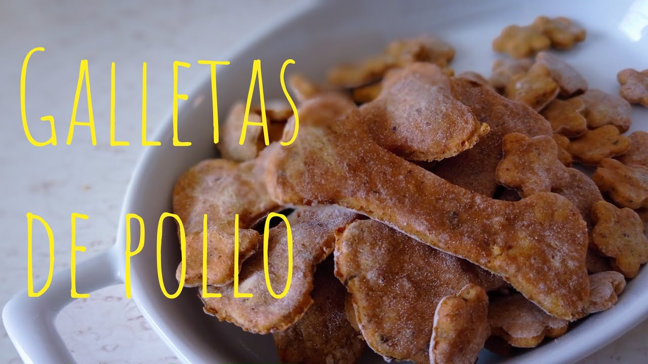 GALLETAS DE POLLO PARA PERROS!!! SOLO 3 INGREDIENTES!! YouTube