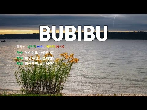[은성 반주기] BUBIBU - 에이핑크(APINK)