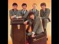 Too Many People - The Hollies