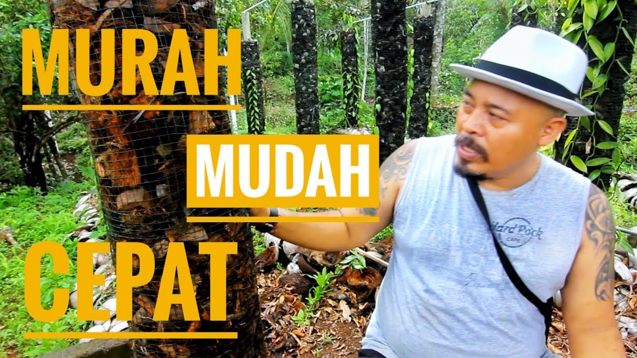 Cara pembuatan tajar vanilli