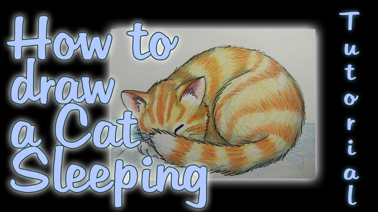 How to draw a Cat Sleeping - YouTube