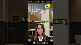 Famous Ruby's Second Chance: From Shelter Dog to Life-Changing Service Animal Ep 2 Wealth