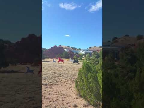 Video: Madrido kaimas, Naujoji Meksika Turquoise Trail