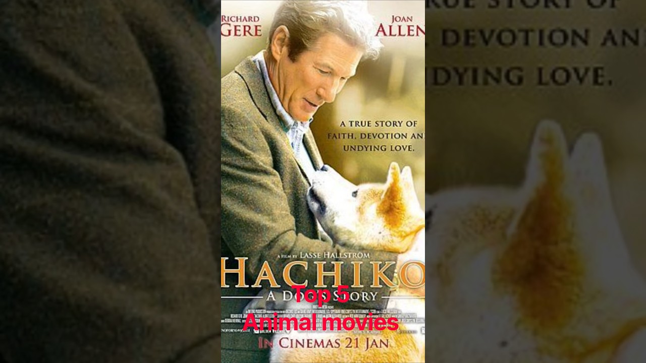 5 best animal movies with highest imdb rating #shorts