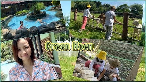 Trang trại xanh Green Noen Củ Chi