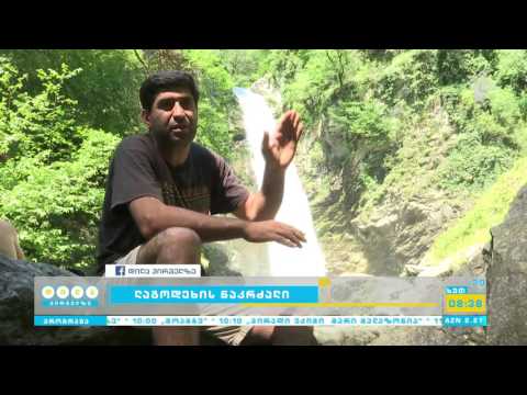 მოგზაურობა ლაგოდეხის ნაკრძალში