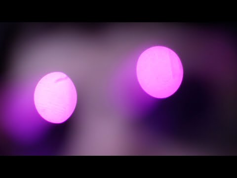 MONSTERWATCH - 2025 [OFFICIAL VIDEO]