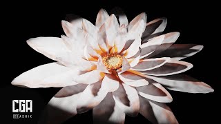 Flower Blooming Animation || By CG Ashik
