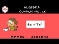 mpm2d common factoring day 11 video oct 12 2021