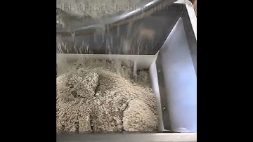 Industrial Noodle Machine | Large Commercial Noodle Maker