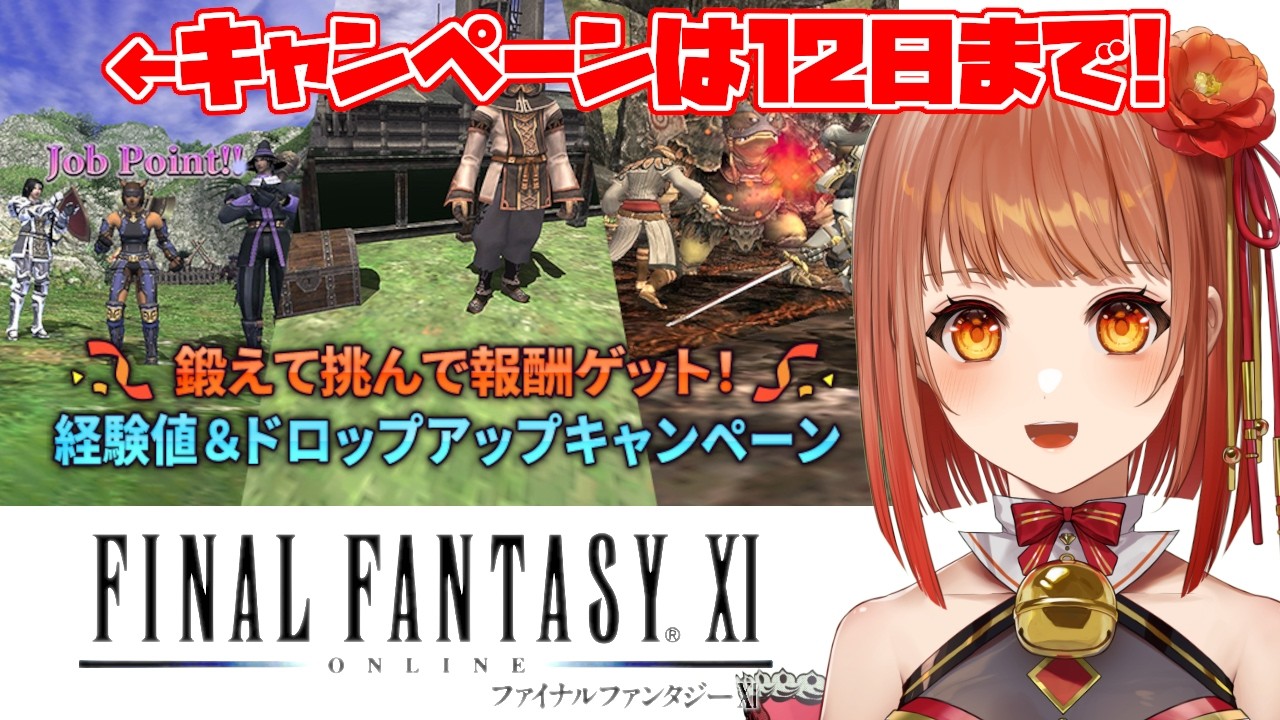 【初見FF11】キャンペーンを遊びつくす!ユニティウォンテッドNMを狩りまくる!【からくりソロ】