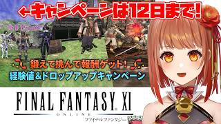 火羽ひのめの配信のサムネイル画像