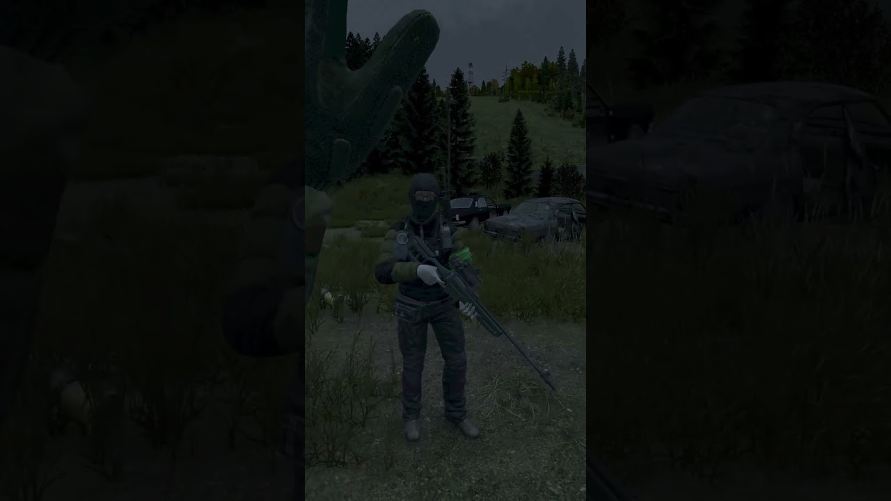 It Was Just a Harmless DayZ Prank