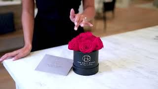 Small Round Hat Box Everlasting Preserved Rose | The Only Roses