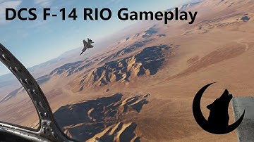 INSANE Tomcat Multicrew Engagements - DCS F-14 RIO Gameplay [VR]