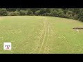 Sanglier forêt de Normandie, drone Parrot anafi