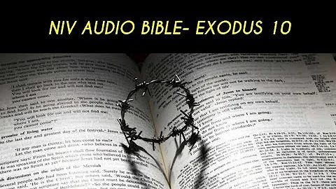 EXODUS 10 NIV AUDIO BIBLE (with text)