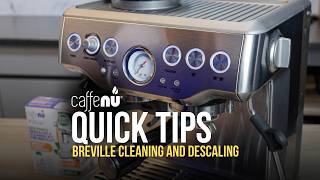 How to Clean and Descale a Breville Barista Express
