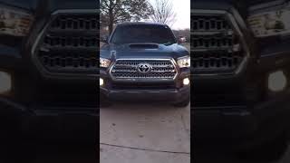 Glow Up Or Glow Down?