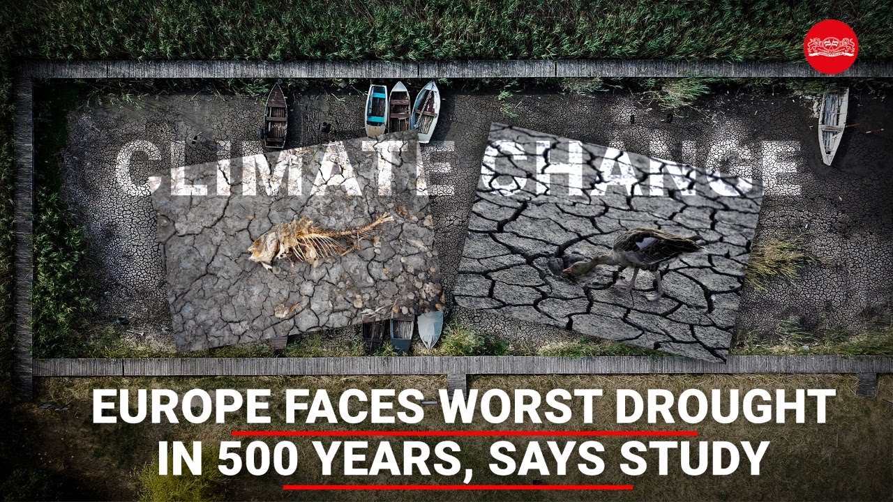 Climate Change: Europe faces worst drought in 500 years, says study