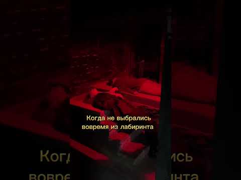 Квест «Лабиринт Минотавра»