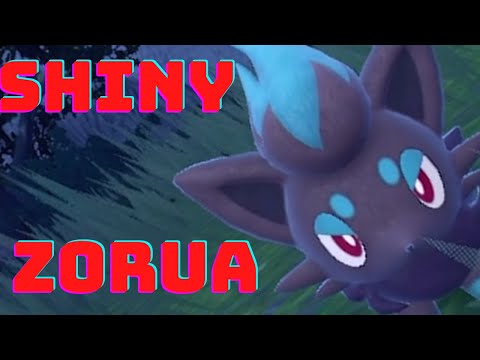 Shiny Zorua pokemon Scarlet and Violet