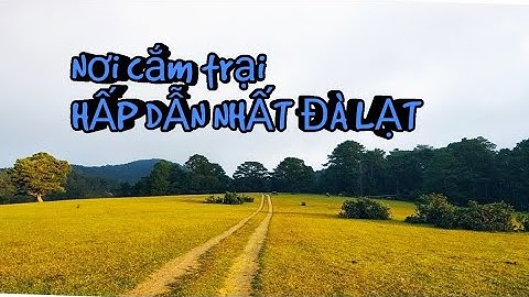 Cây thông Cô đơn - Điểm cắm trại hấp dẫn nhất Đà Lạt