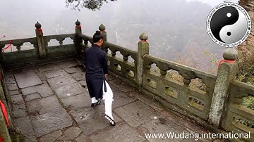 Wudang Tai He Quan in the Mountain Peaks
