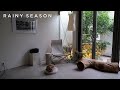 梅雨時期に整える☔️部屋の模様替えと作り置きと購入品と色々メンテナンス🌱Rainy Season Reset🌧️Room Refresh, Meal, Recent Finds&Home Care🌿