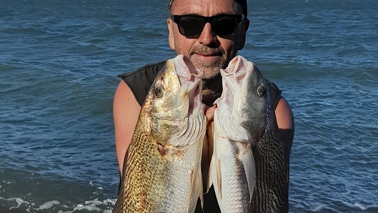 BAHIA SAN BLAS , MIERCOLES 18/12/ 2024 ; CORVINAS Y GRANDES GATUZOS