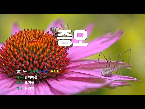 [은성 반주기] 증오 - 언타이틀