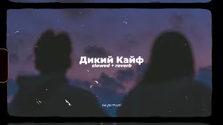 kavabanga depo kolibri & LXE - Дикий Кайф // slowed + reverb