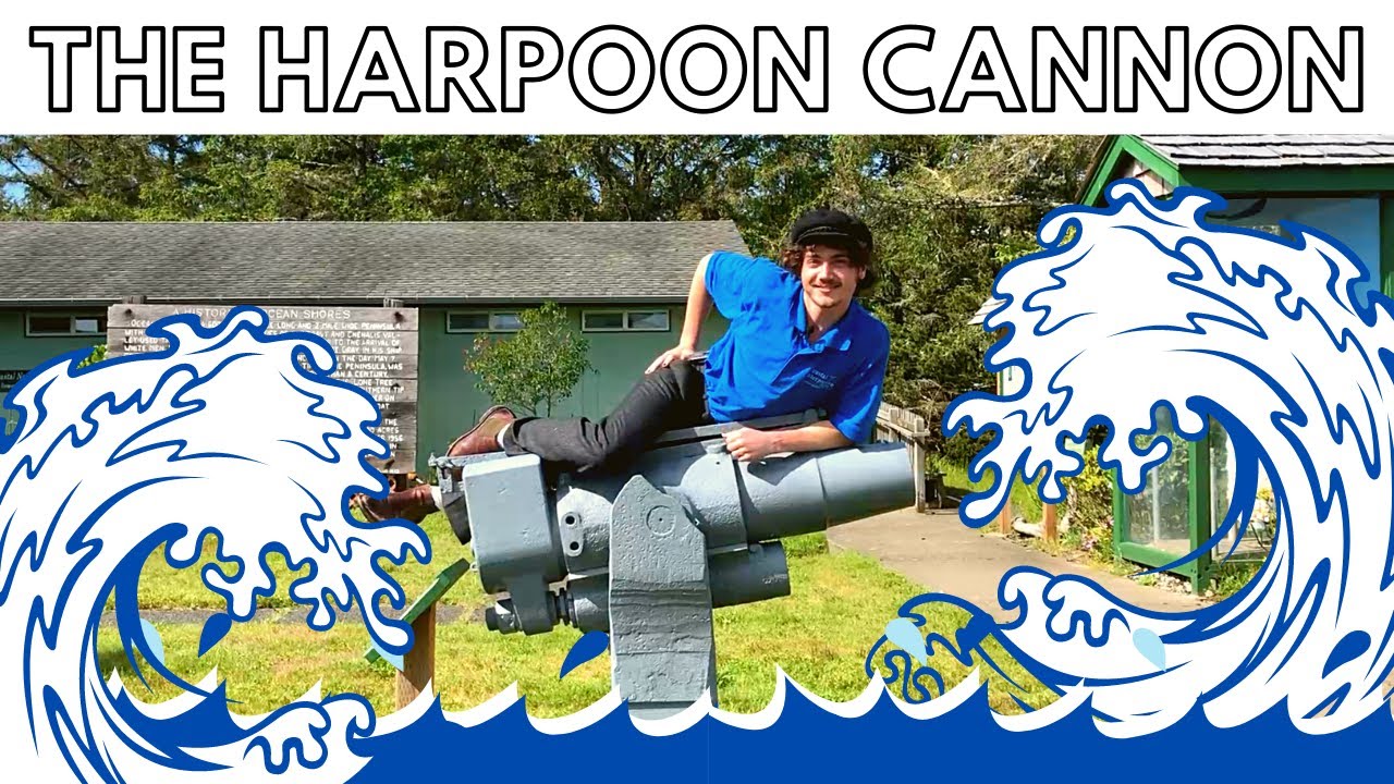 harpoon cannon