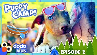 Puppies Choose Their Own Names At Sleepaway Camp | Dodo Kids | Dog Days Of Summer Camp | Episode 2