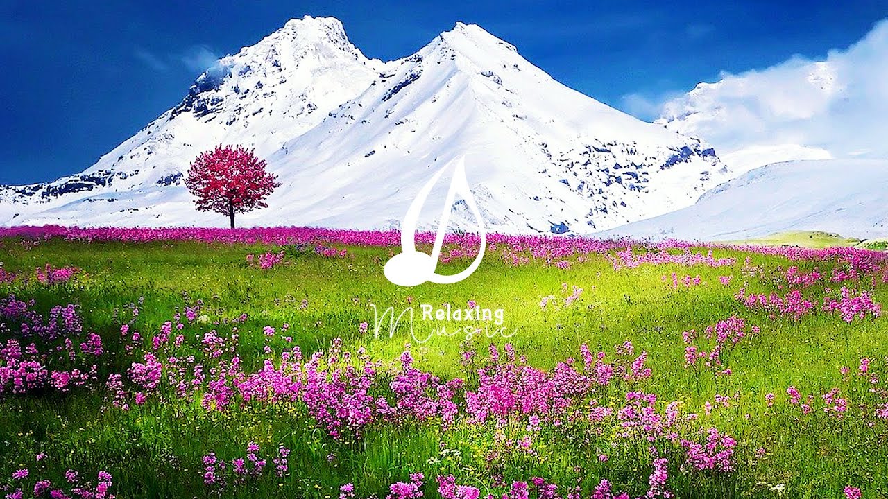 Музыка для сна, Музыка для медитации и Зеленая степь | Расслабляющая музыка (Relax 365)