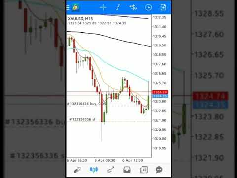 Forex Funny Moment - 