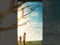 Third Day Your Words Miracles From Heaven Audio mp3