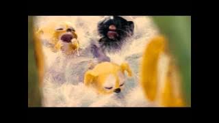 Рождение Марсупилами.