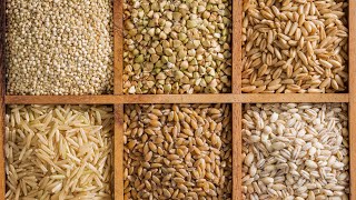 CACFP Meal Pattern Minute: Whole Grains