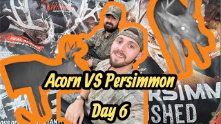 Deer Attractant Experiment | Acorn Rage vs Persimmon Crushed | Day 6 | Holt Chaos Outdoors