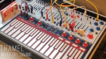 NEVER CRY SWANS -BUCHLA MUSIC EASEL & TAPE LOOPS AMBIENT #buchlamusiceasel #tapeloop #MIRings