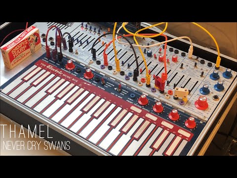 NEVER CRY SWANS -BUCHLA MUSIC EASEL & TAPE LOOPS AMBIENT #buchlamusiceasel #tapeloop #MIRings