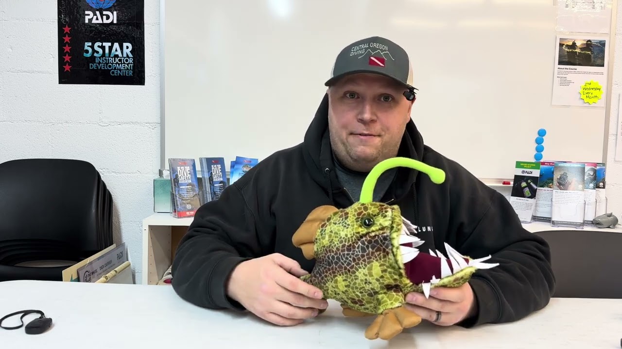 Fish (Sea Creature) Fact Friday - Anglerfish